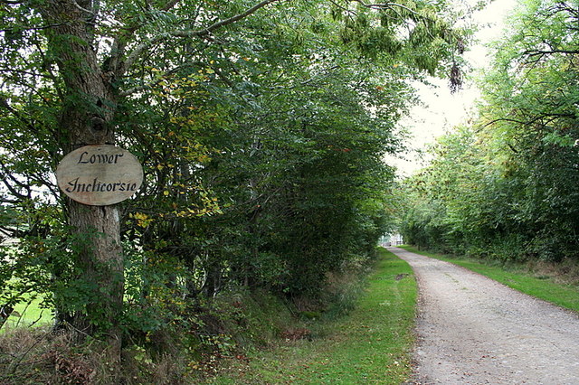 File:Lane to Lower Inchcorsie. - geograph.org.uk - 256083.jpg